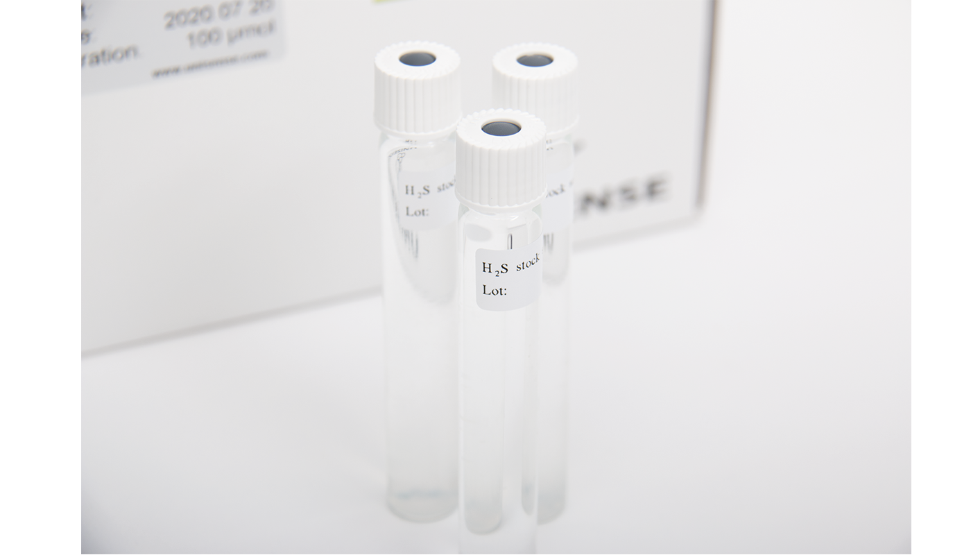 H<sub>2</sub>S and SULF Sensor Calibration Kit