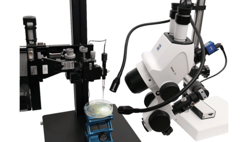 Zeiss microscope