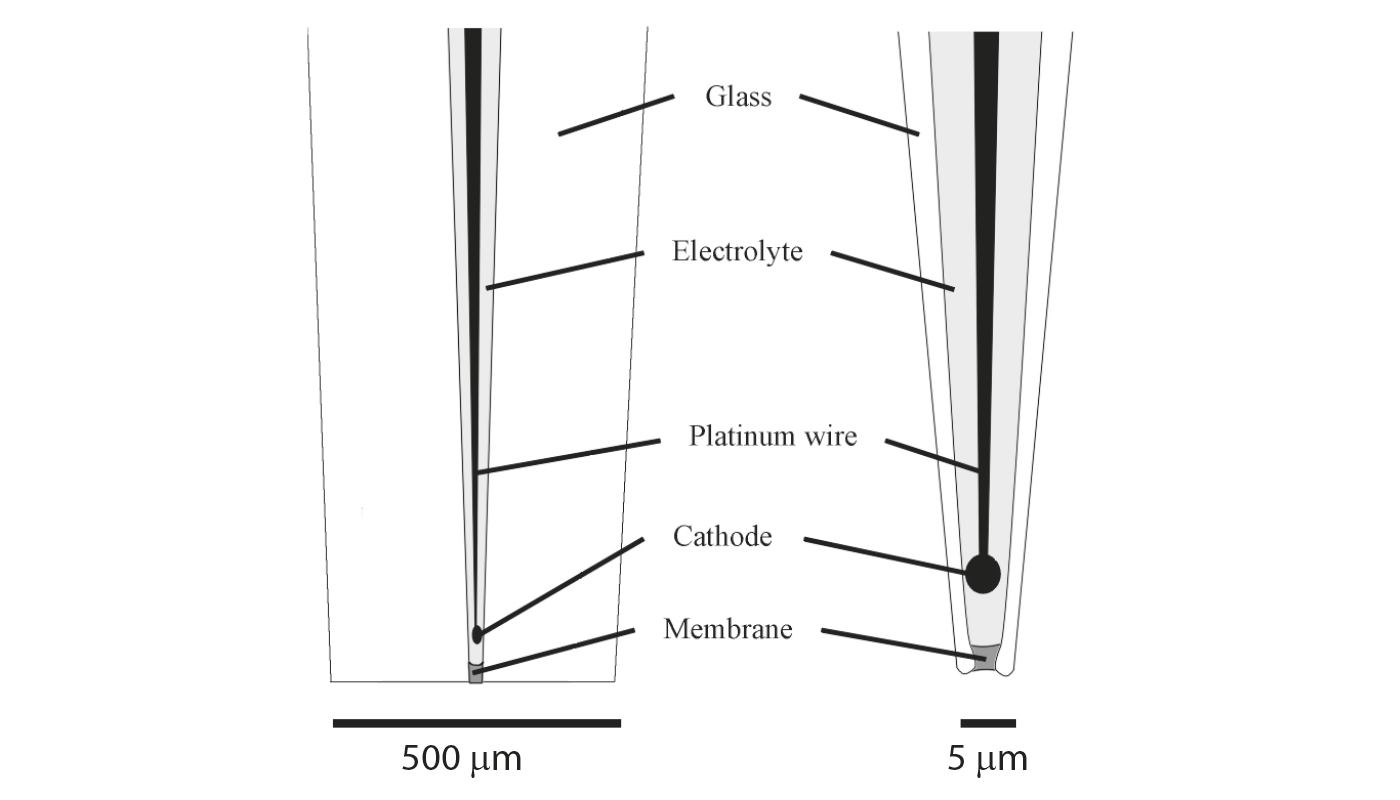 Microsensor dimensions_1400x800