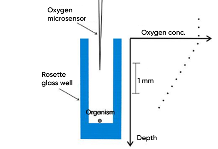 NanoRespiration schematic