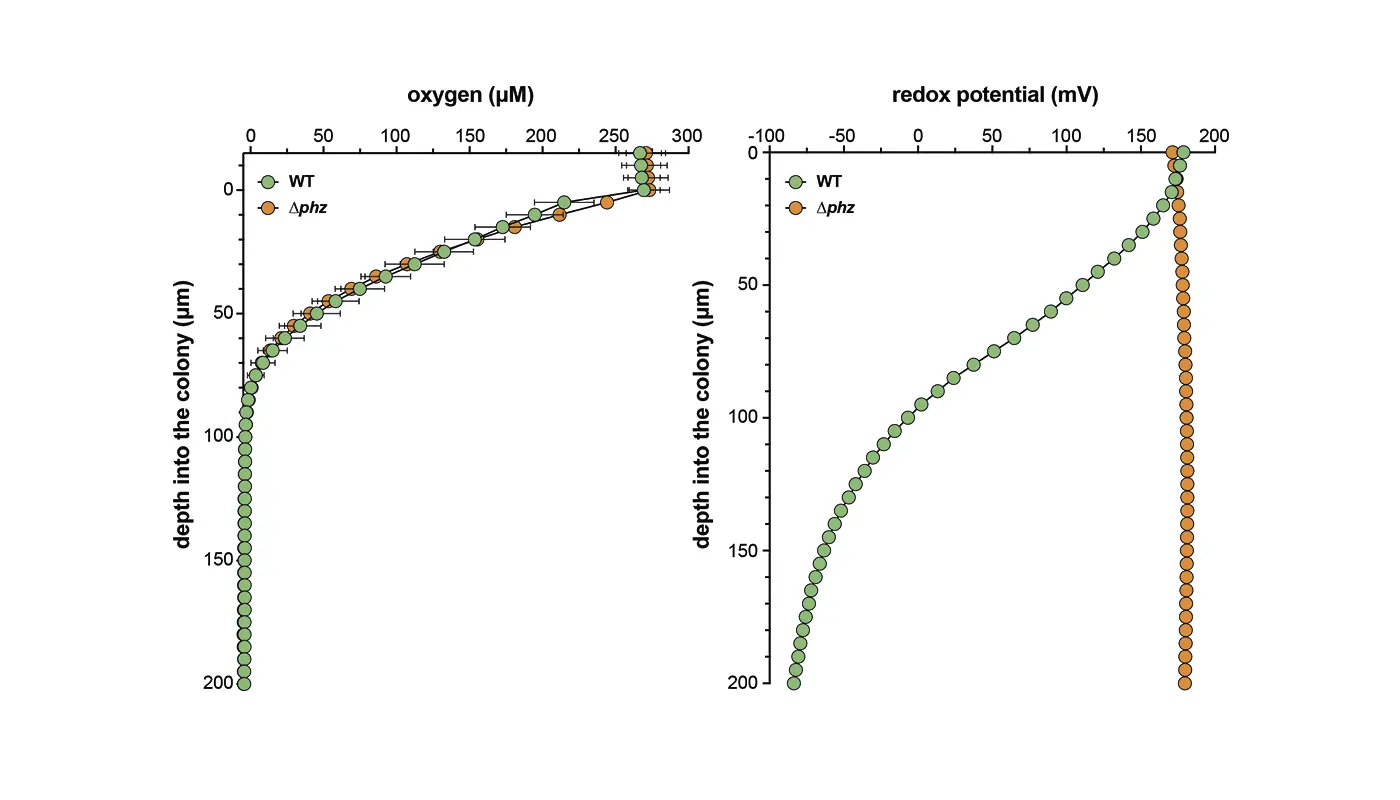 O2 + RD potential in p. aeruginosa figure_1400x800