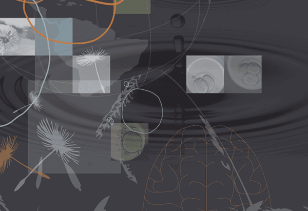 Test or Lease of Instruments