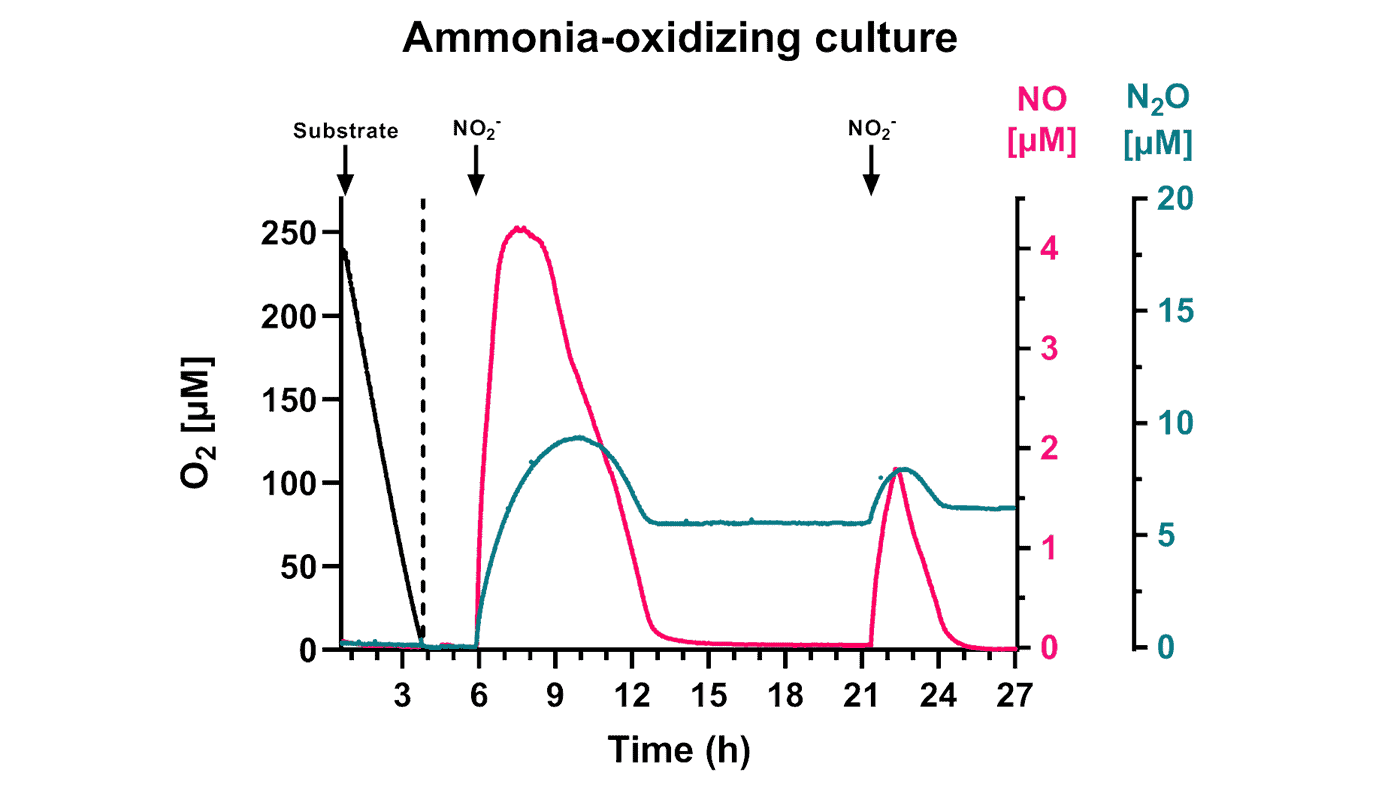 Denitrification – results