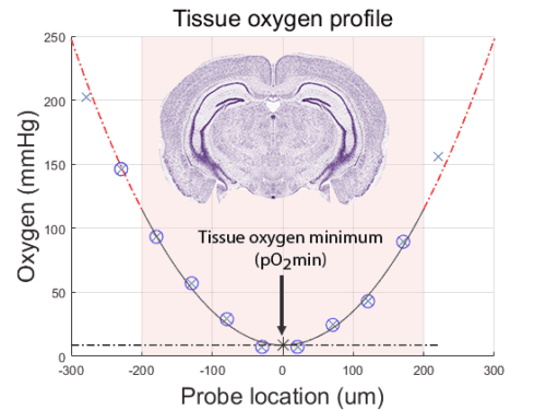 Tissue oxygen profile
