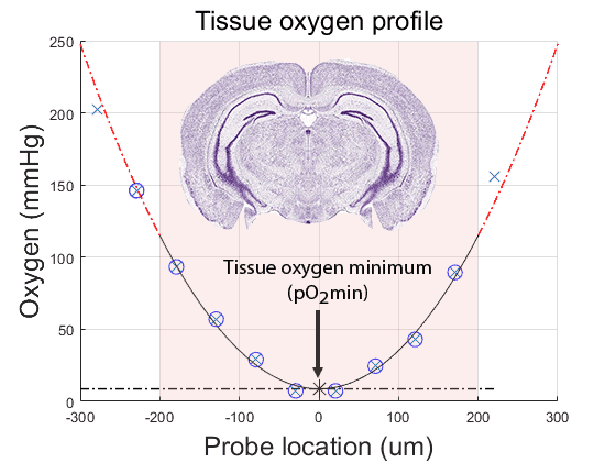 Using tissue oxygen levels to assess <em>ex vivo</em> brain slice quality