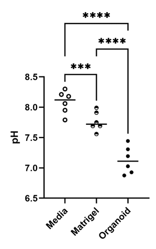 pH measurement in the media