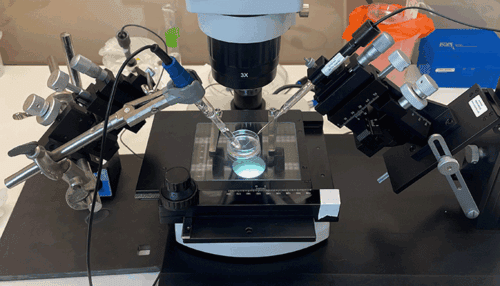 Laboratory setup for pH measurement