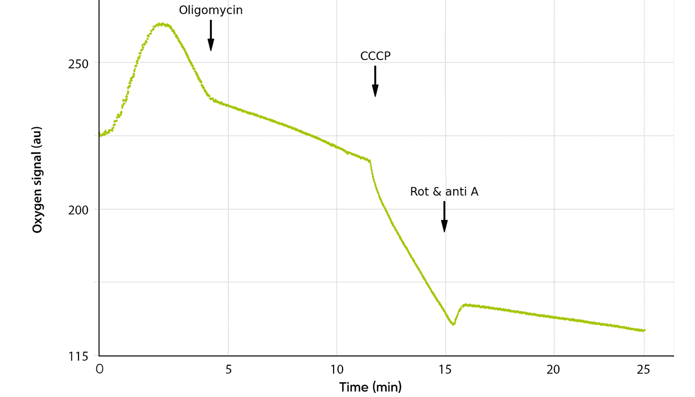 Oxygen consumption rate