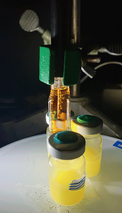 Hydrogen sensor in action