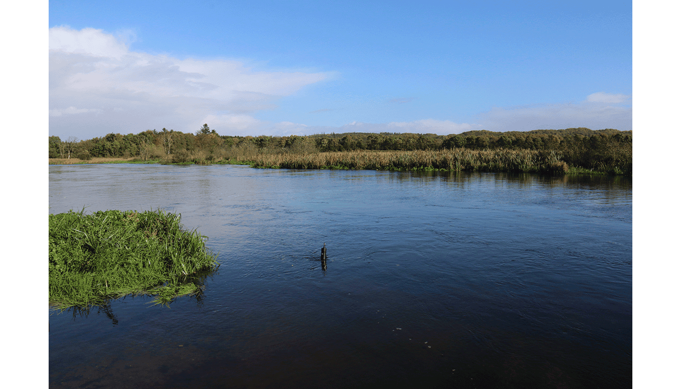 Figure 8 Eddy Covariance in river