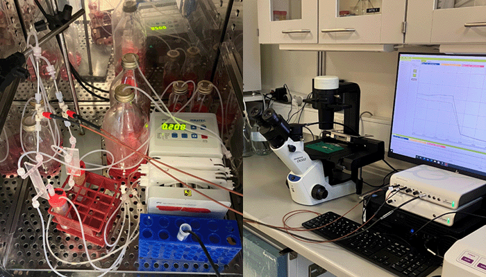 Lab setup with optodes, UniAmp, and microscope