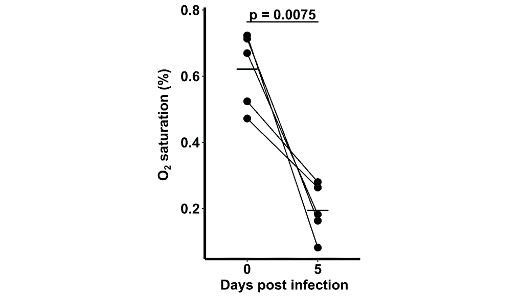 An anaerobic gastrointestinal host-microbe flow model_figure 3